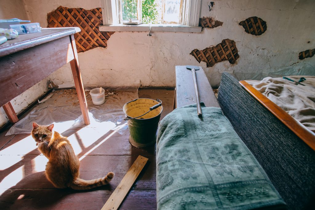 Sanierungsbedürftige Immobilie mit heruntergekommenen Wänden und einer miserablen Einrichtung, rote Katze sitzt auf Boden